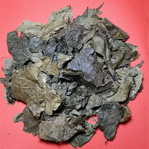 Eucommia ulmoides Listing 500G Eucommia ulmoides Leaves Qingqianliu Eucommia ulmoides Leaves Eucommia ulmoides чай китайский травяной медицина 500G