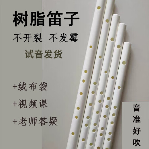 贤怀达笛子仿玉横吹短笛水管ppr竹笛白色树脂民族乐器E调入门F初学者6孔 E调纯白色笛子+全程辅导
