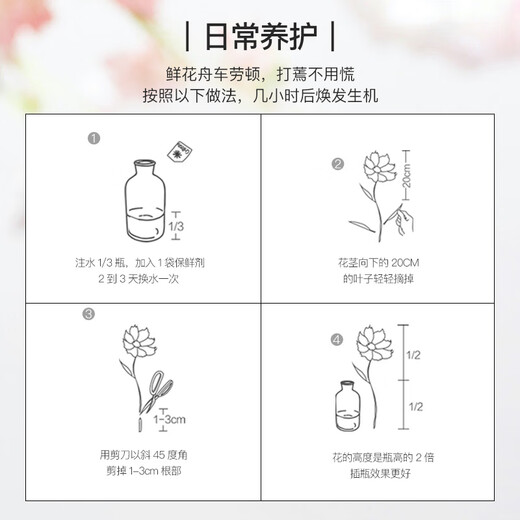 Jingdong flowers natural series basic version every Monday flower package season flower arrangement fresh cut flowers anniversary birthday gift female source straight hair