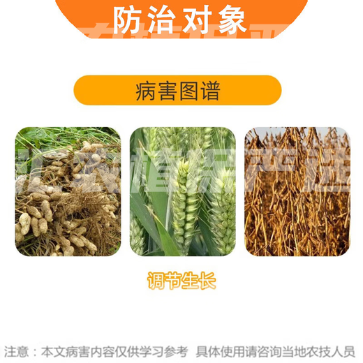 Guoguang Aifeng 10% Paclobutrazol Methionium growth regulator controls short growth, controls leggy growth, peanuts, soybeans and wheat 25g*1