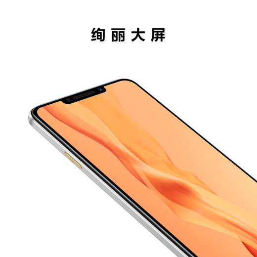 华为畅享60X 鸿蒙智能手机 7000mAh长续航 6.95英寸 影音大屏 曜金黑 8+256GB【热卖款】