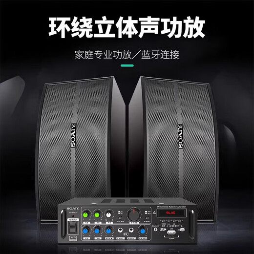 Soaiy Home Cinema KTV Audio Audio Set de 10 pulgadas Conferencia comercial Home Equipo de baile Equipo Karaoke Bluetooth Amplificador de audio de 5.5 pulgadas + sin micrófono