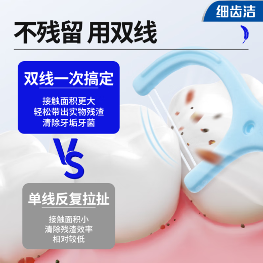 狮王（Lion）细齿洁羽柔护龈双线牙线棒专业牙缝清洁便捷家庭装薄荷味200支