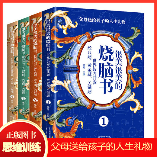 【全新正版】很美很美的烧脑书全4册 世界智力开发经典题7-12岁小学生思维逻辑儿童数学逻辑思维训练开发书14225**9天津科学技术出版社