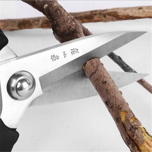 Zhang Xiaoquan multi-purpose scissors, hotel kitchen scissors, chicken bone scissors, household fish-killing scissors, powerful turtle scissors J20140100 multi-purpose scissors (Lijie series) 190
