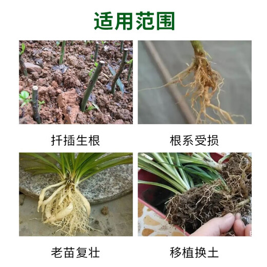 Guoguang Guoguang Rooting Powder Naphthalene Acetic Acid Rapidly Promotes Rooting of Seedlings Potted Cuttings and Transplants Explosive Regulating Growth Liquid 5g