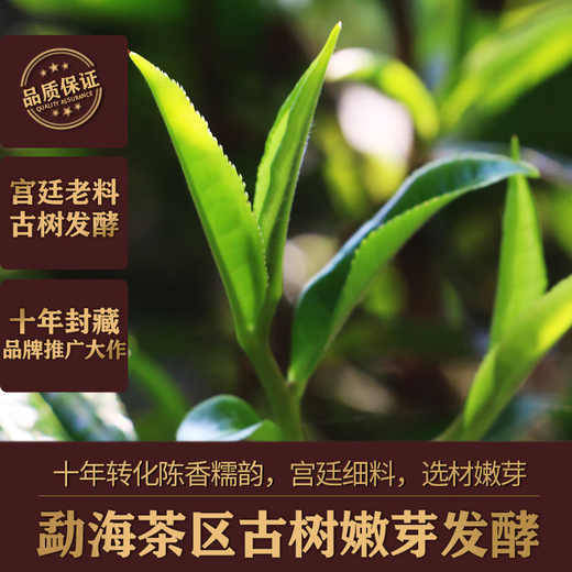 Banzhang Laobanzhang Islandia Pu'er Té Té maduro durante más de diez años Yunnan Antiguo árbol Bulk Ration Tea Bebidas de té solo [Laobanzhang Golden Bath Special] 500g*1 Bag