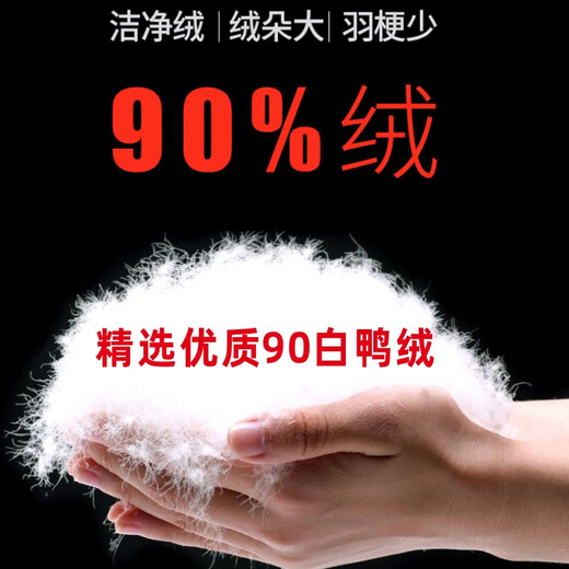 Duck Down Pants Women's 2023 Winter New Plus Down Thickened Warm Straight Pants Long Pants Women's Down Pants Black 2XL