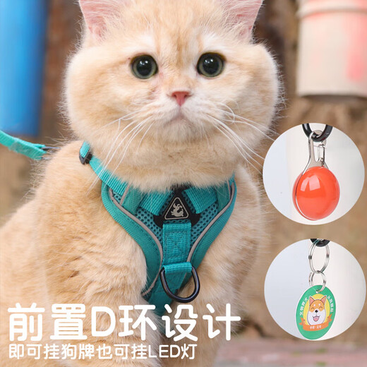 Pet cat leash, cute vest-style harness, anti-breakaway when going out, adjustable cat leash, dog harness, gray M size, recommended 6-9 Jin Jin equals 0.5 kg
