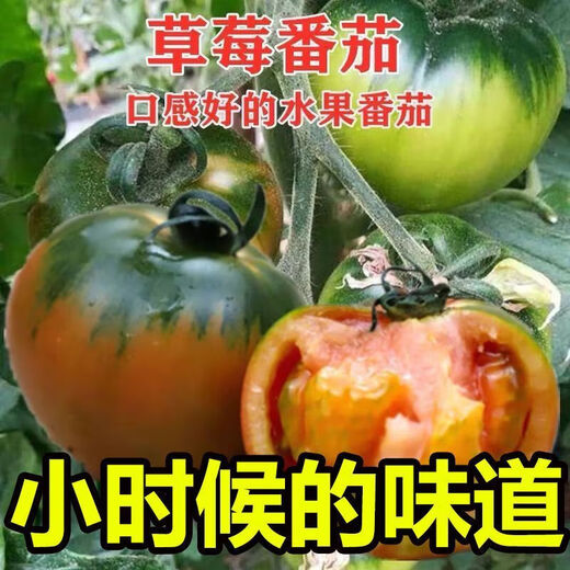 Local large tomato seeds, high yield, super sweet, large red fruit, large tomato seeds, high temperature vegetable melon and fruit seeds, strawberry tin tomatoes, about 400 capsules 1 pack