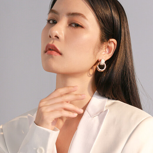 Qlady Autumn and Winter Earrings Feminine High-end Earrings Women's 2023 Niche Light Luxury Circle Earrings Birthday Gift