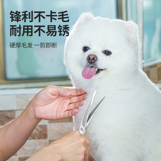 Qi Oh pet scissors, special grooming scissors for dog hair trimming, professional set of curved scissors, Teddy dog hair scissors, all steel 6.5-inch thinning scissors