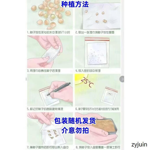 Miben Sweet and Glutinous Pumpkin Seeds, Four Seasons Old Pumpkin, Dense Pumpkin Varieties, Miben Pumpkin Seeds, 1 pack, about 30 pieces