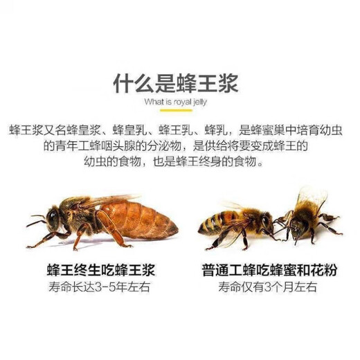 溥畔胖大海同款山姆官方【1048人收藏】特级蜂王浆野生新日期春浆农家 [活动进行中]仅剩00:58 原浆特级1000g[2瓶]