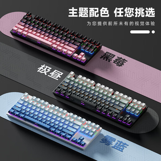 风陵渡 K870侧刻渐变机械键盘有线电竞游戏吃鸡LOL键盘台式家用笔记本打字办公键盘 87键白色【混光】 青轴