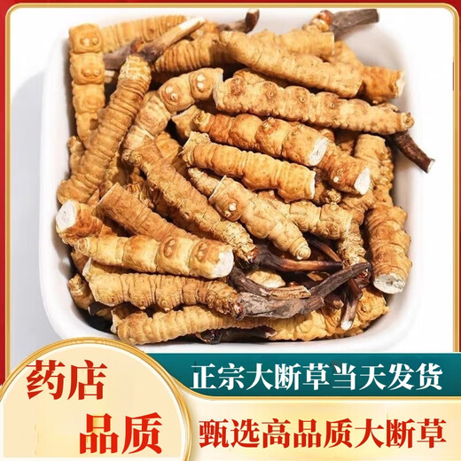 Cordyceps Cordyceps Genuine Cordyceps Cordyceps Cordyceps Cordyceps Cordyceps Cordyceps Cordyceps Cordyceps Cordyceps Cordyceps Cordyceps Cordyceps Cordyceps Cordyceps Cordyceps Cordyceps Cordyceps Cordyceps Cordyceps Cordyceps Cordyceps Cordyceps Cordyceps Cordyceps Cordyceps Cordyceps Cordyceps Cordyceps Cordyceps Cordyceps Cordyceps Cordyceps Cordyceps Cordyceps Cordyceps Cordyceps Cordyceps Cordyceps Cordyceps