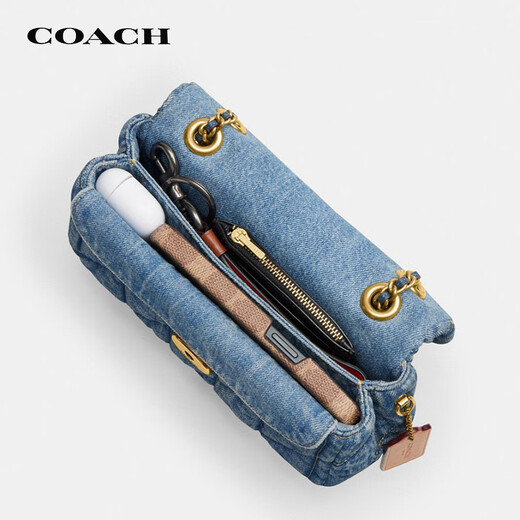 蔻驰（COACH）【品牌直供】女士TABBY20小号单肩斜挎包CR701B4IN
