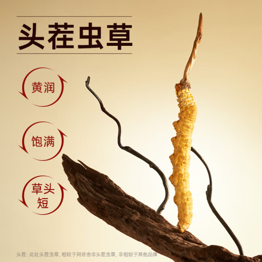 Ayishe Cordyceps sinensis 3-4 roots/g10g about 36 roots Cordyceps gift boxes for elders Dragon Boat Festival gifts