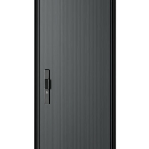 帝卡西DKX-阳光2050*960防盗门安全门入户门智能门轻奢户门