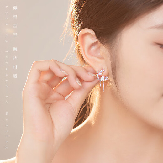 Fanzhe Poetry Authentic Moonstone Cat Moonstone Earrings Earrings for Women Birthday Gifts for Wife Girls Valentine’s Day Gifts Next Day Air Delivery Moonstone Cat Earrings