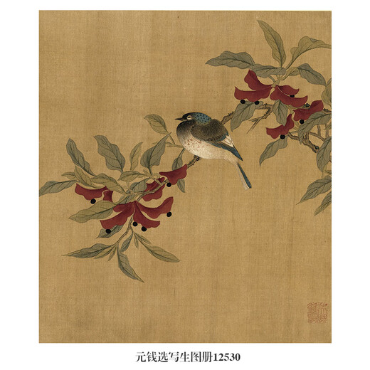 Yuan Qian wählt Skizzier-, Blumen- und Vogelmalerei, hängende Gemälde, antike berühmte Gemälde, runde Fans, neue Malerei -Dekorationsmalerei
