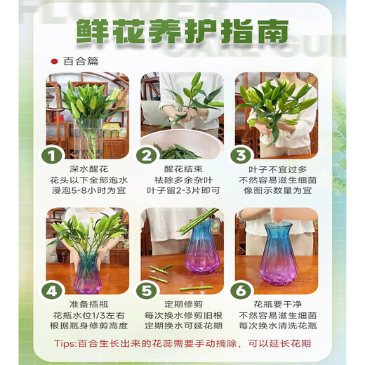 Jimmy Deer rare orange lily flowers, 10 orange lilies + get 2 free, fresh cut bouquets from Yunnan base sent directly from the source