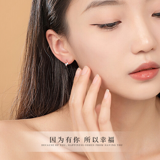 Givenchy Light Luxury One Week Серьги для девочек Серьги Серьги Серьги Ювелирные ювелирные изделия подарки на день рождения подарки для подруги жене, сияющие серьги звездной недели [Розовое золото]