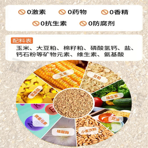 Zhengda Chicken Feed 323 Laying Hens Young Chickens Medium Chickens Half Large Native Chickens Reserve Eggs Breeding Chicken Food Peacock Young Chickens Full Price Powder 20Jin Jin is equal to 0.5kg 7 to 16 weeks old