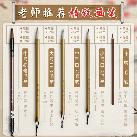 Shu Xing Chinese Painting Pigment Set Beginners Ink Painting Chinese Painting Supplies and Tools Full Set of 12 Colors 12ml Elementary School Art Class Special Brush Rice Paper Materials for Children to Start School