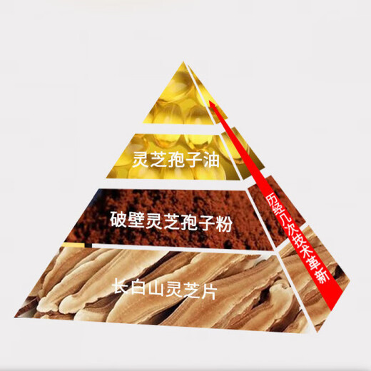 Ganoderma lucidum spore öl weichkapsel changbaishan gebrochene wand ganoderma lucidum spore pulver extrakt 60 tabletten linzhi robe öl fda export Zhongyuan yibao Marke [eine Schachtel mit 60 Tabletten]