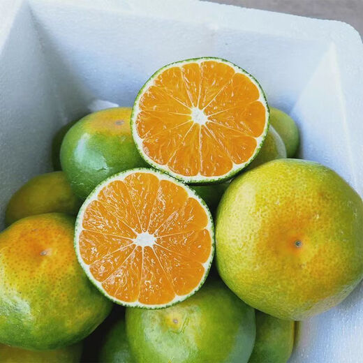 秭归脐橙新鲜宜昌特早蜜桔 时令水果薄皮桔子酸甜孕妇宝宝柑橘整箱团购 【畅吃】净重5斤中果 55mm+