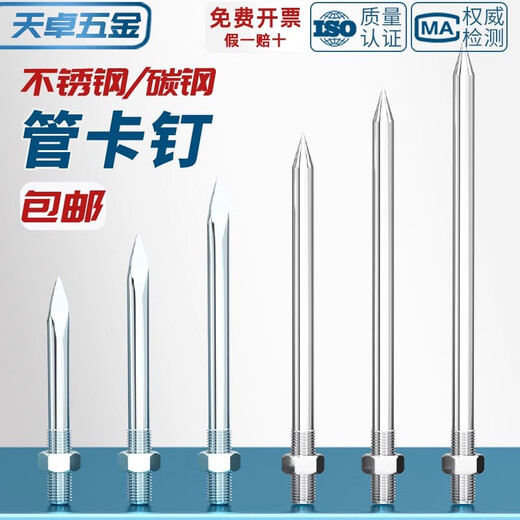 Tianzhuo Hardware 304/201 Stainless Steel Pipe Clamp Hoop Nail PVC Pipe Hoop Wall Nail Extended Screw Clamp Suspender Rod Straight Nail Galvanized M10*300 (2 Sets)