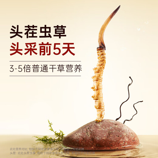阿依舍冬虫夏草滋补送礼 断虫草 送父母送长辈实惠家庭滋补自用囤货礼盒 大号断草50克【全家滋补佳选】