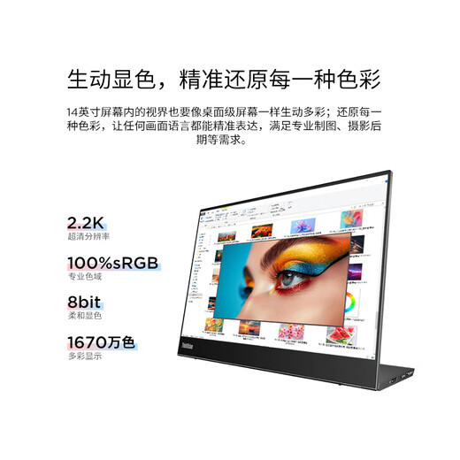 Lenovo ThinkVision Monitable de 14 pouces moniteur portable IPS Screen 10 points Le stylet de toucher capacitif est livré avec M14TGEN2