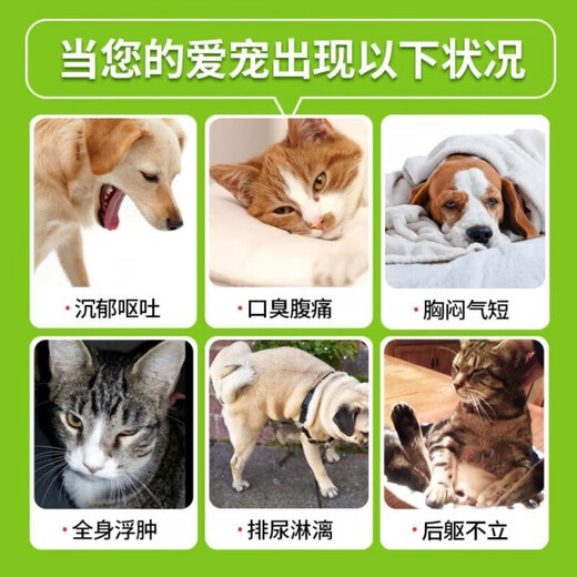 Hanwei pet Shiwei Aining furosemide tablets 20mg Hanwei pet dogs and cats furosemide tablets heart failure kidney failure liver and ascites diuretic oral consultation