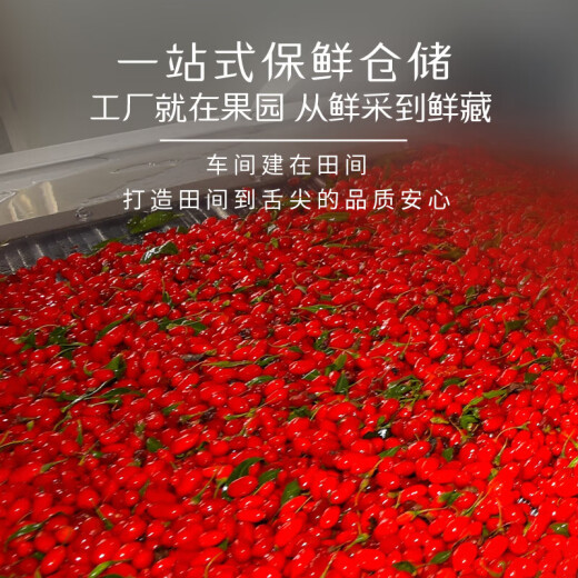 中宁枸杞 红枸杞子宁夏特级500g头茬免洗送礼长辈父母家长端午节礼物