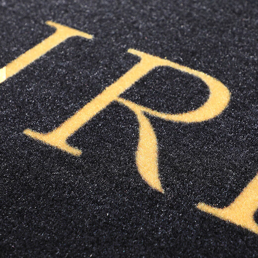 Shannixiu elevator carpet car mat wear-resistant, non-slip, water-absorbent and soil-rubbing foot mats, commercial home LOGO customization