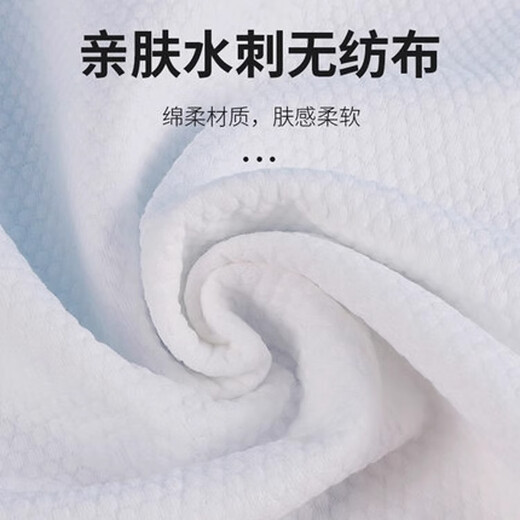 Sha Xiaoqing Cleaning Wipes Down Jacket No-Wash, Easy to Carry and Wipe Household Cleaning Artifact, Down Jacket Large Pack of 60 Pieces, Larger and Thicker, 1 Pack