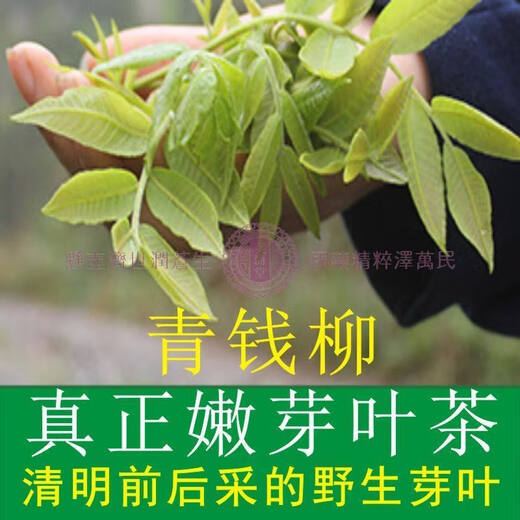 青钱柳批发修水金钱柳张家界青钱柳湖南城步茶 原叶500克(一斤)一疗程