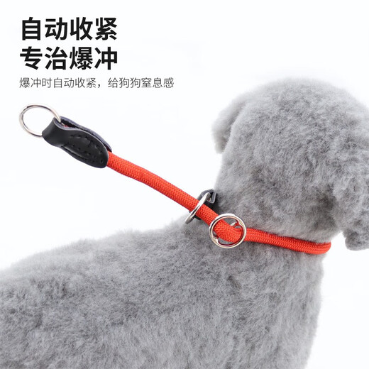 Rongyu Dog Collar P Chain Explosion-proof Tow Rope Medium and Large Dog Golden Retriever Collar Collar Competition Grade P Chain Pet Supplies Black