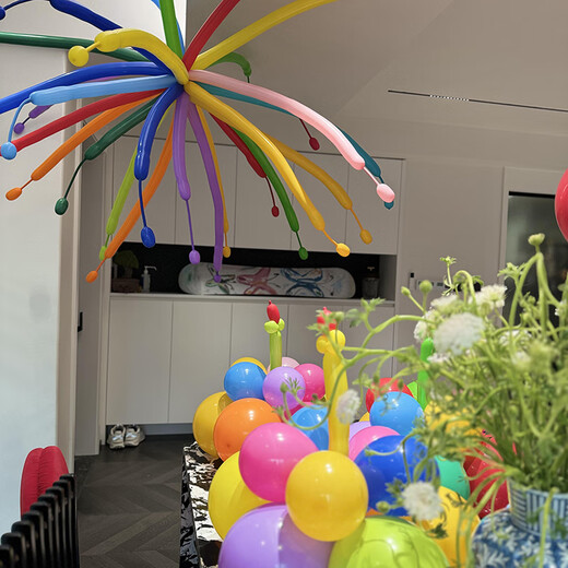 Duomeiyi Magic Long Strip Balloons Thickened Children's Birthday Decoration Arrangement Wedding Party Style Long Strip Free Pump