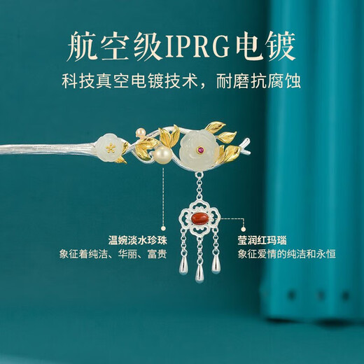 Dingjing S925 silver hairpin for women, high-end, ancient style, Hetian jade hairpin, flower, national style, tassel hairpin, high-end gift for wife