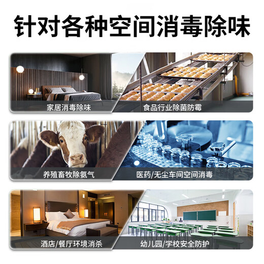 EVANLEY German ozone generator sterilizer household air purifier industrial food factory car sterilization and formaldehyde removal 12V car 10g (cigarette lighter interface)