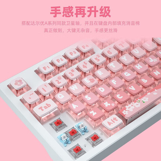 
Daeryou EK829 <Chunshan Sakura Snow> Theme Cute Pink Wired Wireless 87/104 Mechanical Keyboard Girls Gift Office Typing Computer Esports Games General Chunshan Sakura Snow [104] Key Wired Version Qingxun
