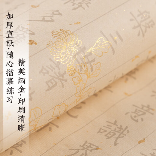 Hu Ying Heart Sutra 108-piece Heart Sutra copybook, brush copybook, Buddhist scripture manuscript set, fountain pen-style brush, small regular script, beginners' entry-level copying, soft-pen sutra book tracing, red rice paper, half-cooked