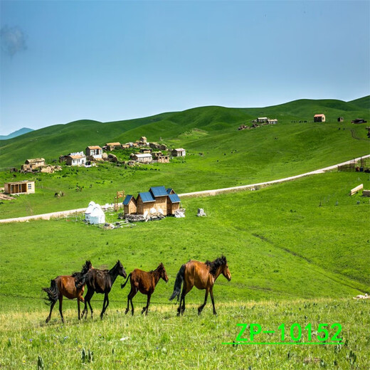 山头林村ARILL主播背景布3D立体网红直播间背景山水户外风景背景布 ZP-10975 3米宽+2.5米高