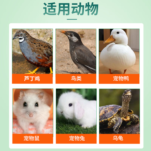 Pet electrolytic multi-dimensional bird multi-dimensional electrolyte is specially designed to meet the daily nutritional supplement stress response of small pets. Small pet electrolytic multi-dimensional 1 can/100g