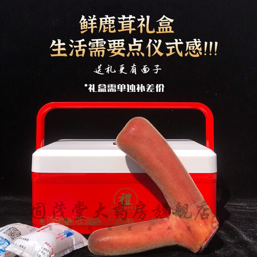 鲜梅花鹿茸 整枝可切片 2024新割头茬含血二杠 泡酒煲汤炖菜均可 【优质鲜鹿茸695克一支】