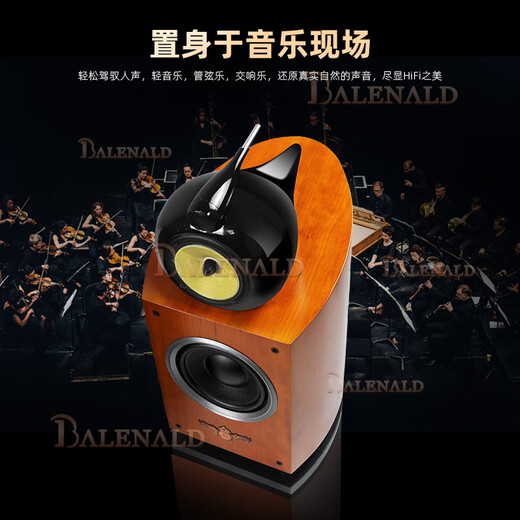班龙Balenald NS8鹦鹉螺发烧级高保真8寸低音鹦鹉螺音响三分频书架无源hifi音箱高端 8吋鹦鹉螺音箱+698功放