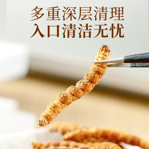 冬虫夏草（支持质检）藏区雪域虫草断草整肉纯肉节冬虫夏草干断草 冬虫夏草纯肉节30克送4克 提高免疫力